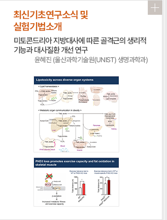 최신기초연구소식 및 실험기법소개